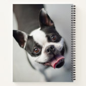 Getty Afbeeldingen | Franse Bulldog Notitieboek (Achterkant)