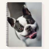 Getty Afbeeldingen | Franse Bulldog Notitieboek (Voorkant)