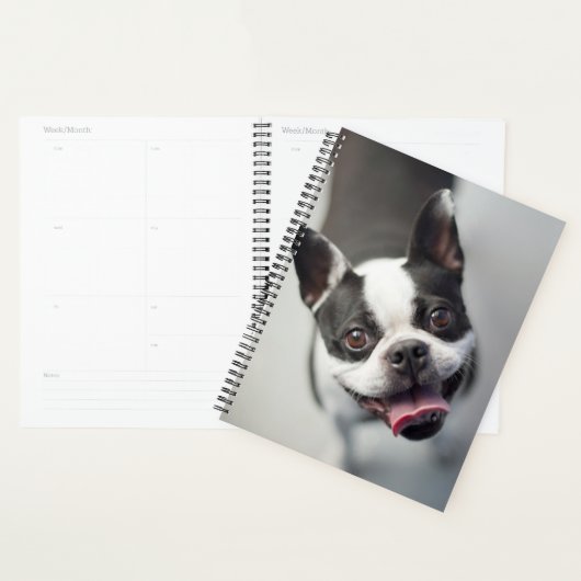 Getty Afbeeldingen | Franse Bulldog Planner (Display)