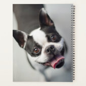 Getty Afbeeldingen | Franse Bulldog Planner (Achterkant)