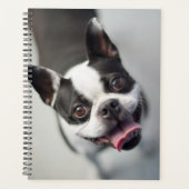 Getty Afbeeldingen | Franse Bulldog Planner (Voorkant)