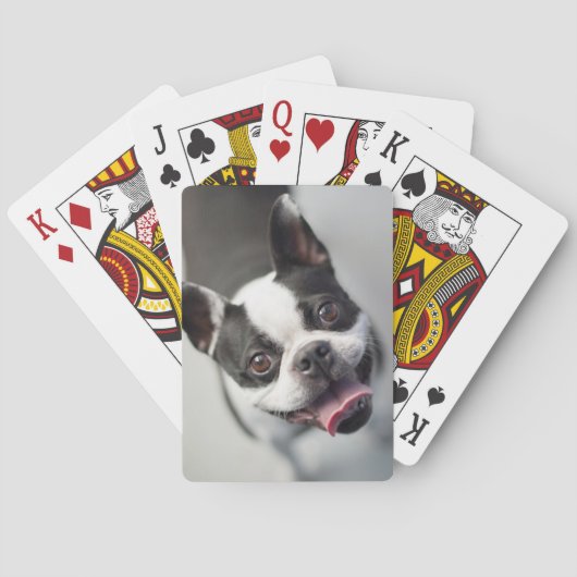 Getty Afbeeldingen | Franse Bulldog Pokerkaarten (Achterkant)
