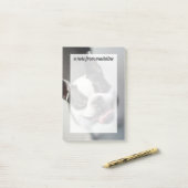 Getty Afbeeldingen | Franse Bulldog Post-it® Notes (Op bureau)