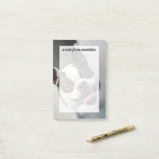 Getty Afbeeldingen | Franse Bulldog Post-it® Notes (Op bureau)