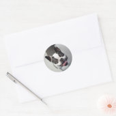 Getty Afbeeldingen | Franse Bulldog Ronde Sticker (Envelop)