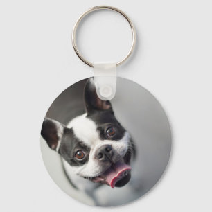 Getty Afbeeldingen   Franse Bulldog Sleutelhanger