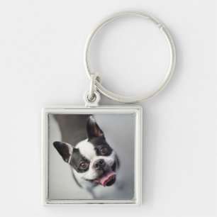 Getty Afbeeldingen Franse Bulldog Sleutelhanger