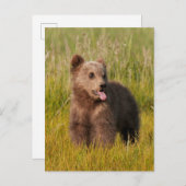 Getty Afbeeldingen | Funny Baby Beer Briefkaart (Voorkant / Achterkant)