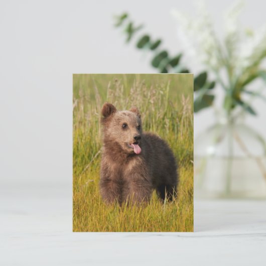 Getty Afbeeldingen | Funny Baby Beer Briefkaart (Staand voorkant)