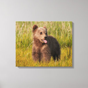 Getty Afbeeldingen Funny Baby Beer Canvas Afdruk