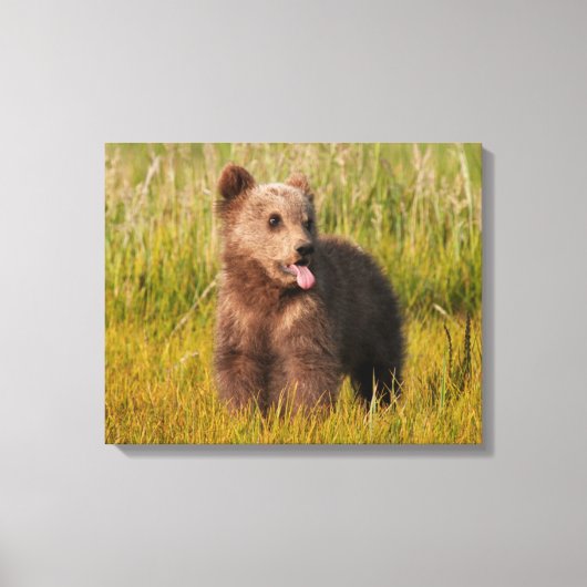 Getty Afbeeldingen | Funny Baby Beer Canvas Afdruk (Voorkant)