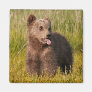 Getty Afbeeldingen   Funny Baby Beer Magneet