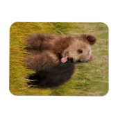 Getty Afbeeldingen | Funny Baby Beer Magneet (Horizontaal)