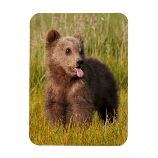 Getty Afbeeldingen | Funny Baby Beer Magneet (Verticaal)