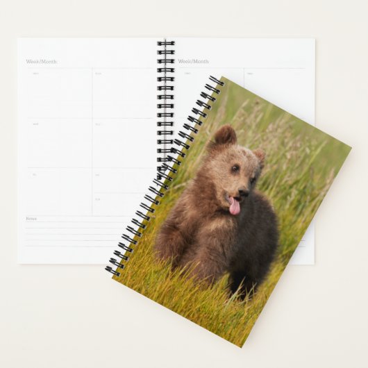Getty Afbeeldingen | Funny Baby Beer Planner (Display)