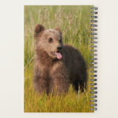 Getty Afbeeldingen | Funny Baby Beer Planner (Achterkant)