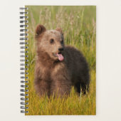 Getty Afbeeldingen | Funny Baby Beer Planner (Voorkant)