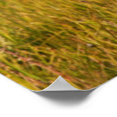 Getty Afbeeldingen | Funny Baby Beer Poster (Hoek)