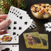 Getty Afbeeldingen | Funny Baby Beer Speelkaarten (Insitu)