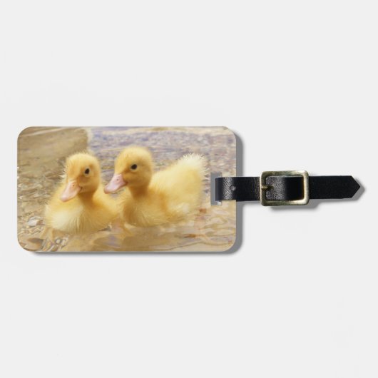 Getty Afbeeldingen | Fuzzy Yellow Ducklings Bagagelabel (Voorkant horizontaal)