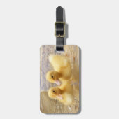 Getty Afbeeldingen | Fuzzy Yellow Ducklings Bagagelabel (Voorkant verticaal)