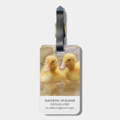 Getty Afbeeldingen | Fuzzy Yellow Ducklings Bagagelabel (Achterkant verticaal)