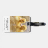 Getty Afbeeldingen | Fuzzy Yellow Ducklings Bagagelabel (Achterkant horizontaal)