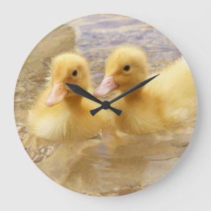 Getty Afbeeldingen Fuzzy Yellow Ducklings Grote Klok