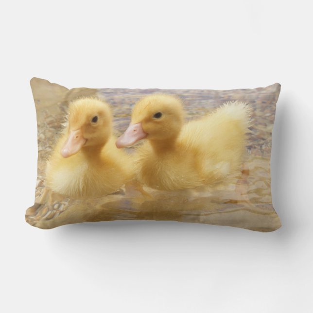 Getty Afbeeldingen | Fuzzy Yellow Ducklings Kussen (Voorkant)