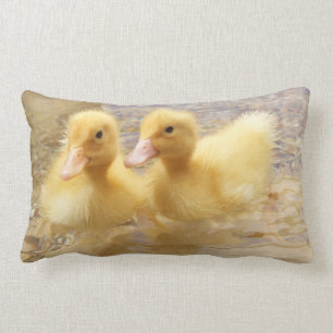 Getty Afbeeldingen   Fuzzy Yellow Ducklings Kussen