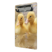 Getty Afbeeldingen | Fuzzy Yellow Ducklings Mini Klembord (Angled2)