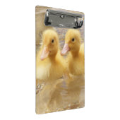 Getty Afbeeldingen | Fuzzy Yellow Ducklings Mini Klembord (Schuin)