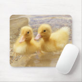 Getty Afbeeldingen | Fuzzy Yellow Ducklings Muismat (Met muis)