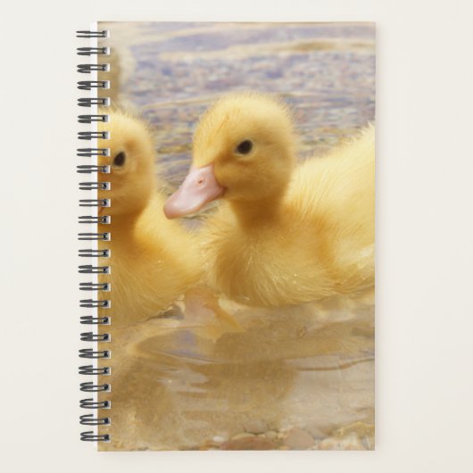 Getty Afbeeldingen | Fuzzy Yellow Ducklings Planner (Voorkant)