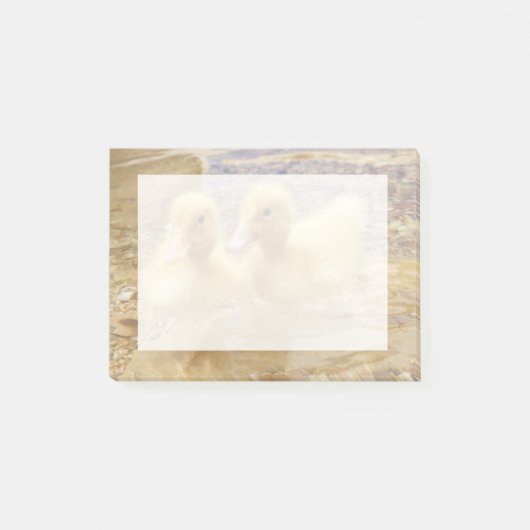 Getty Afbeeldingen | Fuzzy Yellow Ducklings Post-it® Notes (Voorkant)