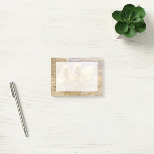Getty Afbeeldingen | Fuzzy Yellow Ducklings Post-it® Notes (Kantoor)