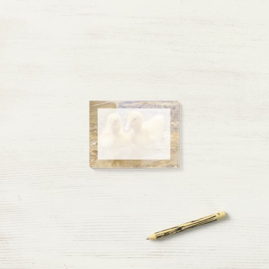 Getty Afbeeldingen | Fuzzy Yellow Ducklings Post-it® Notes (Op bureau)
