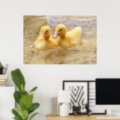 Getty Afbeeldingen | Fuzzy Yellow Ducklings Poster (Thuiskantoor)