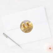 Getty Afbeeldingen | Fuzzy Yellow Ducklings Ronde Sticker (Envelop)
