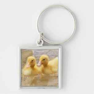 Getty Afbeeldingen Fuzzy Yellow Ducklings Sleutelhanger