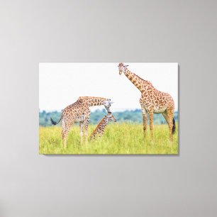 Getty Afbeeldingen Giraffe Canvas Afdruk