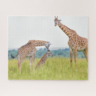 Getty Afbeeldingen Giraffe Legpuzzel
