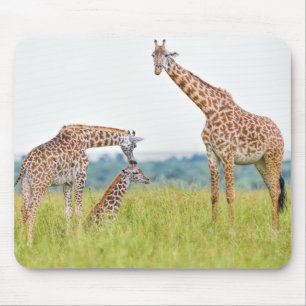 Getty Afbeeldingen Giraffe Muismat