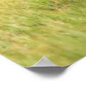 Getty Afbeeldingen | GIRAFFE Poster (Hoek)