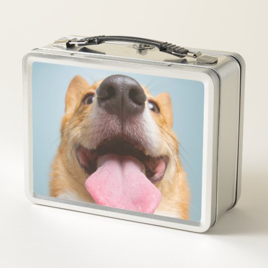 Getty Afbeeldingen | Heel Happy Corgi (Achterkant)