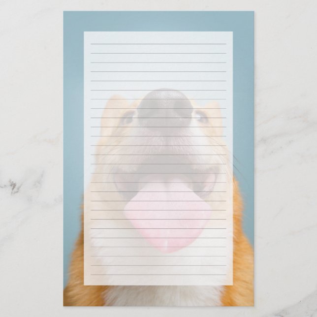 Getty Afbeeldingen | Heel Happy Corgi (Voorkant)
