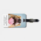 Getty Afbeeldingen | Heel Happy Corgi Bagagelabel (Achterkant horizontaal)
