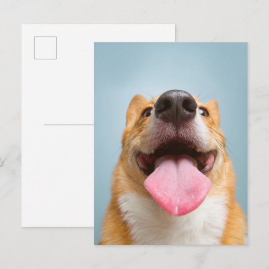 Getty Afbeeldingen | Heel Happy Corgi Briefkaart (Voorkant / Achterkant)