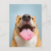 Getty Afbeeldingen | Heel Happy Corgi Briefkaart (Voorkant)