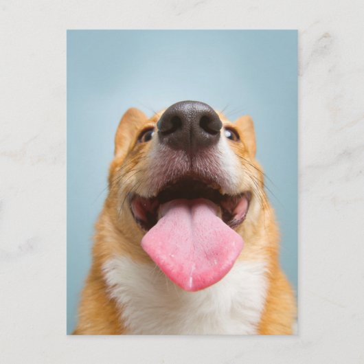 Getty Afbeeldingen | Heel Happy Corgi Briefkaart (Voorkant)